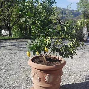 https://casina-di-vicchio.it-tuscanyhotel.com
